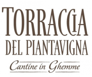 Torraccia del Piantavigna